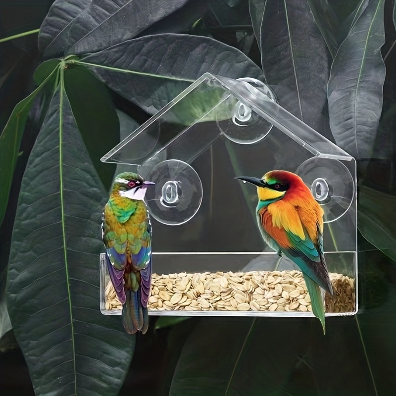 Mangeoire à oiseaux de jardin avec ventouses puissantes pour fenêtre  transparente : : Jardin