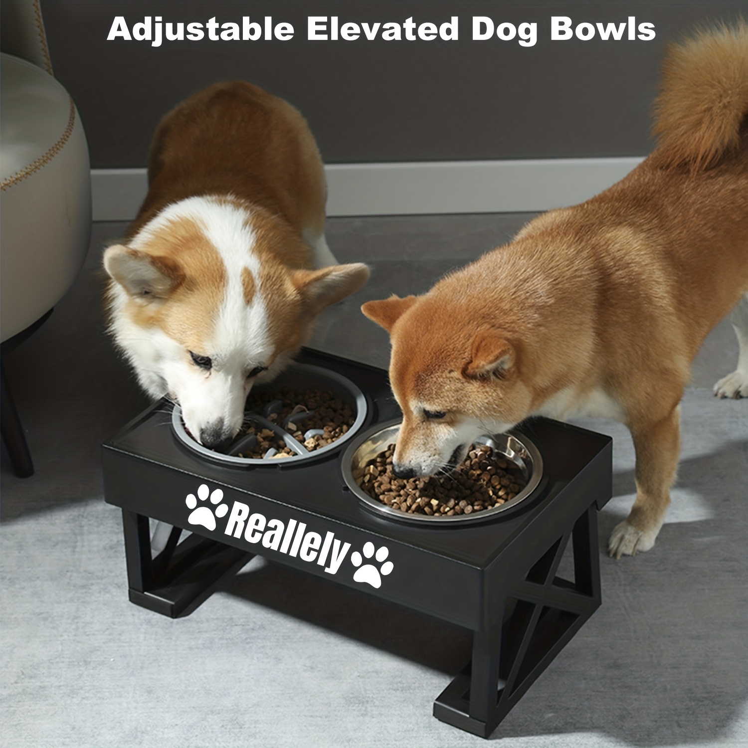 Pet Elevated Dog Bowls Adjustable Raised Dog Bowl For Small Dogs And Cats  Raised Tilted Dog Bowl With 2 Stainless Steel Bowls