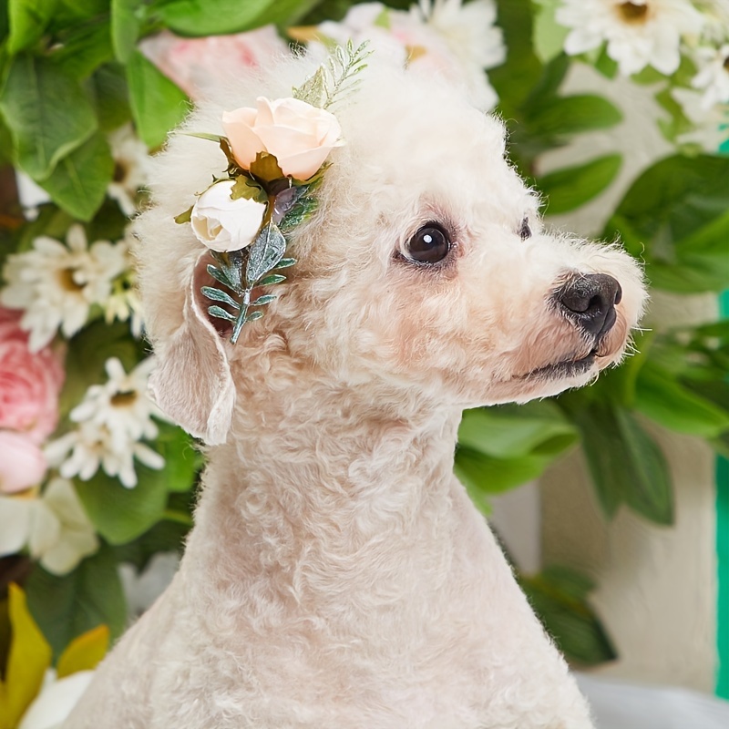 Accessoire pour collier 1 noeud et 1 fleur bleu ou rose pour chien