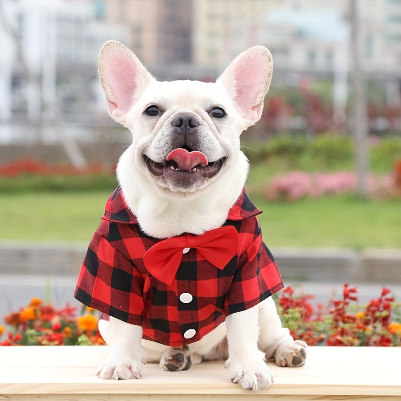 Red plaid best sale dog shirt