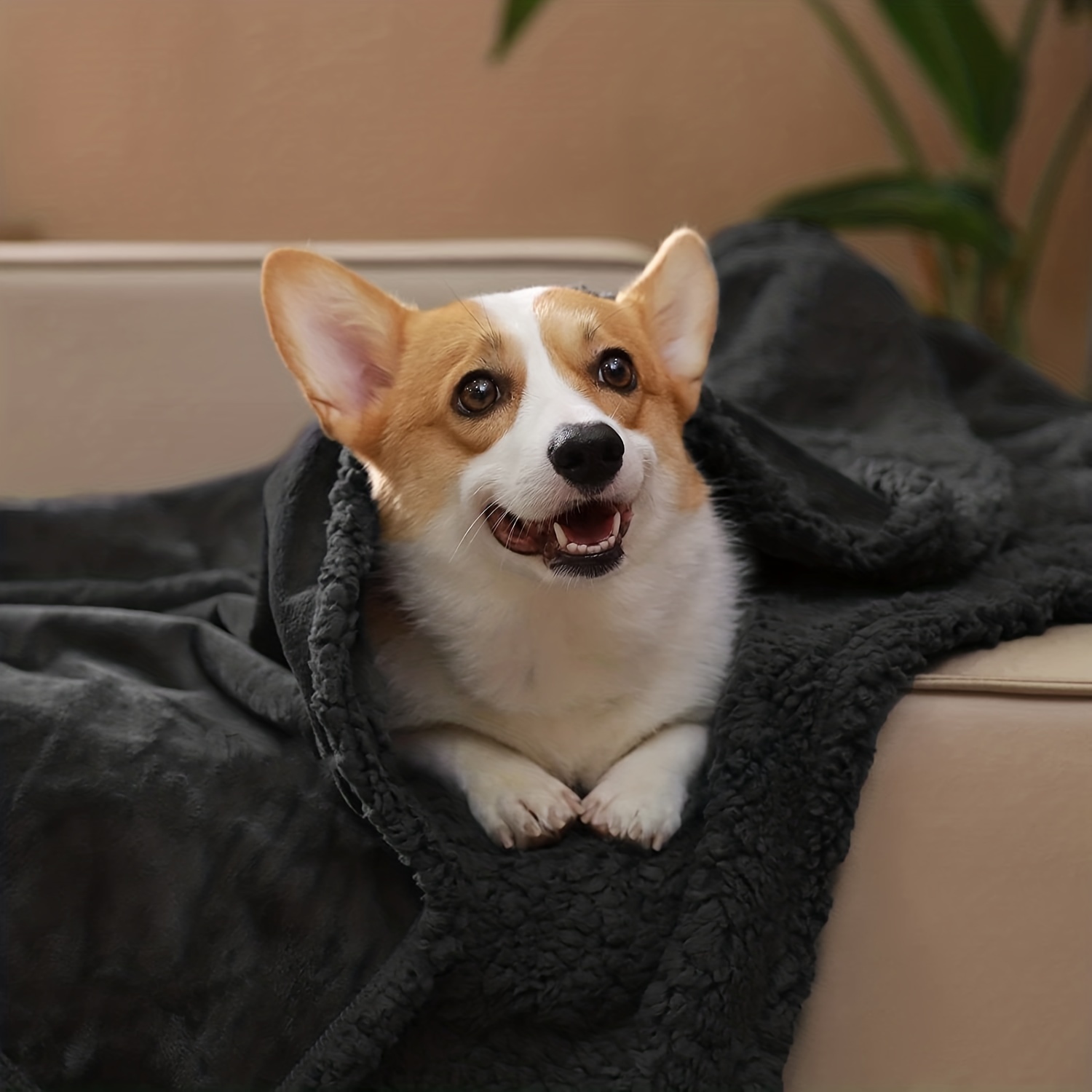 Waterproof Pet Blanket for Bed Couch Sofa Warm Flannel Sleep Dog Cat