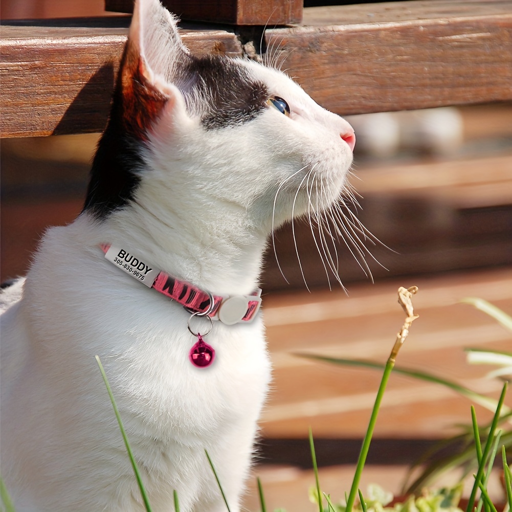 Cat Collars – Neon Moon Pet Boutique