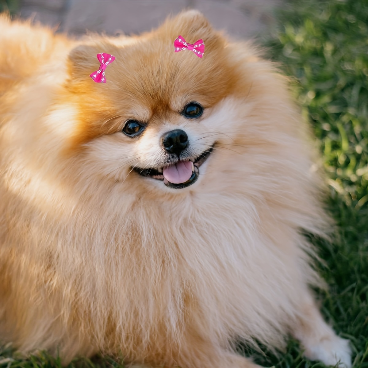 10 peças de laços de cabelo fofinhos para animais de estimação, acessórios  para cabelo de animais de estimação para cães e gatos - Temu Portugal