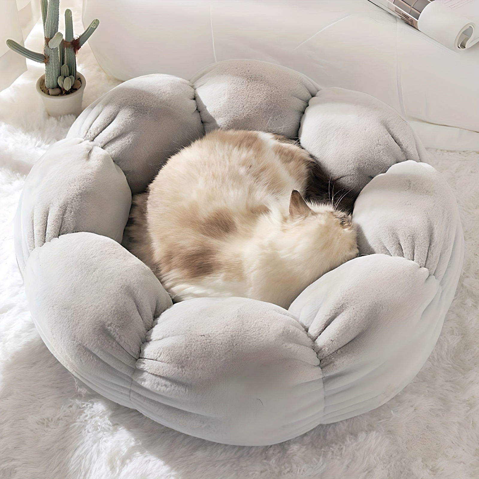 Letto Gatti Gatti Indoor Cucciolo Cane Piccolo Carino - Temu Italy