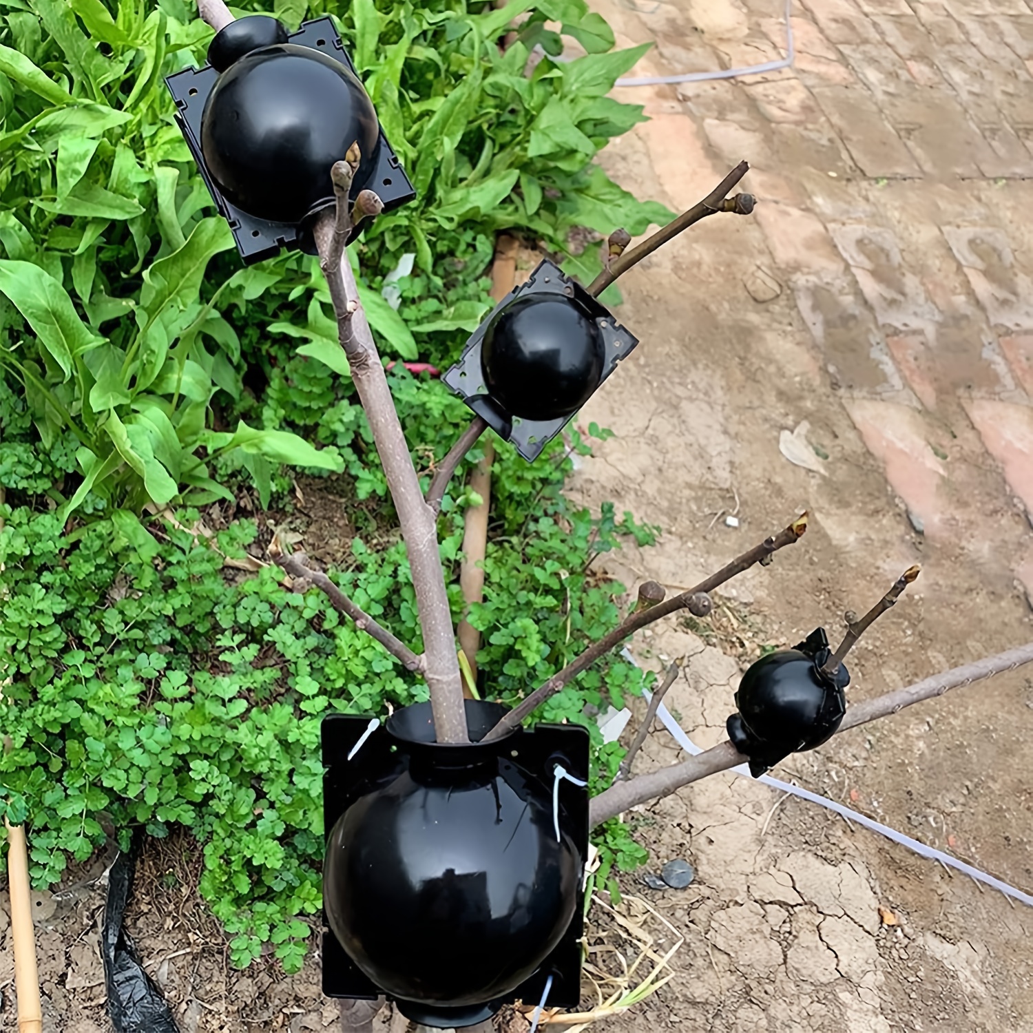 Plant Rooting Device Air Layering Pods Grow Box for Propagation & Root Control