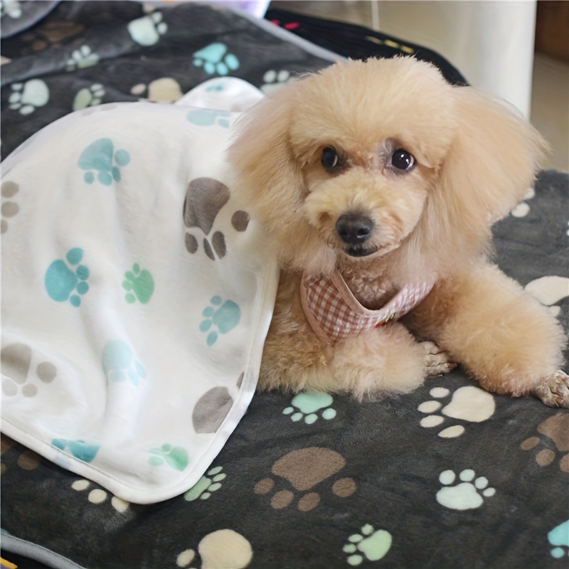 Padded 2025 dog blanket