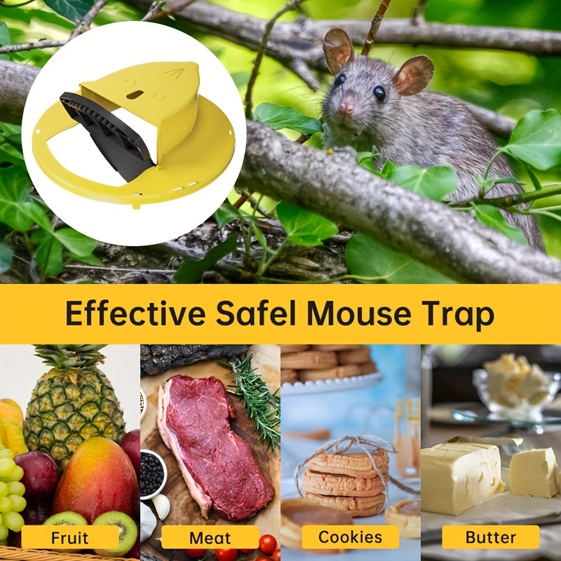 Bucket Lid Mouse Rat Trap Lid For 5 Gallon Bucket Auto - Temu