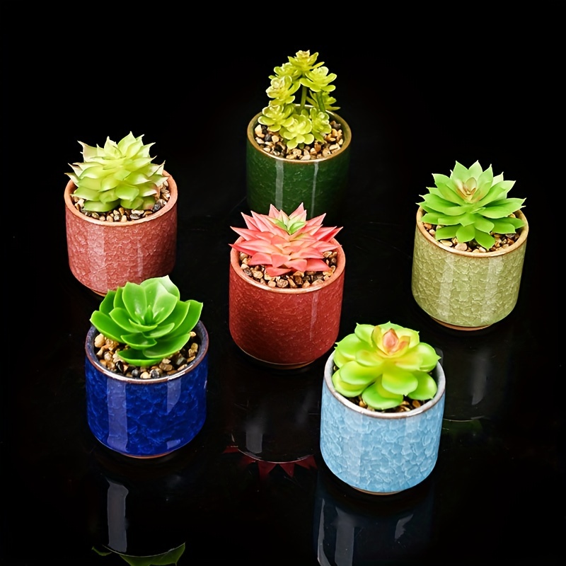 Meyas Vaso da fiori con testa grassa, vaso per piante grasse, vaso per piante  grasse, vaso di cactus con foro di scarico, vaso per fiori, decorazione da  giardino, per interni ed esterni