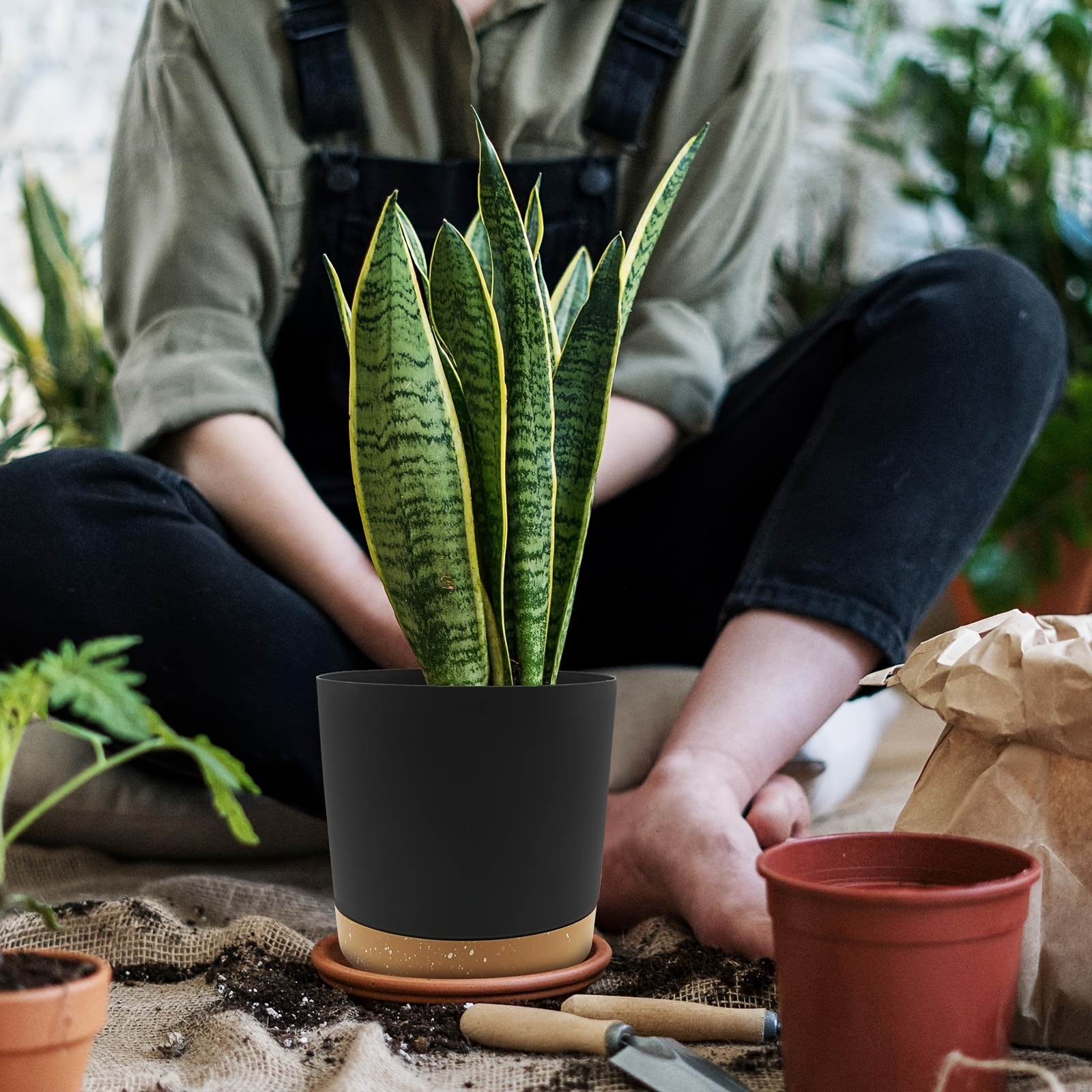 Set 2 Pezzi, Vaso Fiori 6,5 Pollici, Vasi Piante Interno Fori Drenaggio E  Base Rimovibile, Vasi Fiori Giardino Allaperto In Stile Piattino Moderno,  Decorazione Adatta A Cactus, Succulente, Piante Verdi - Patio