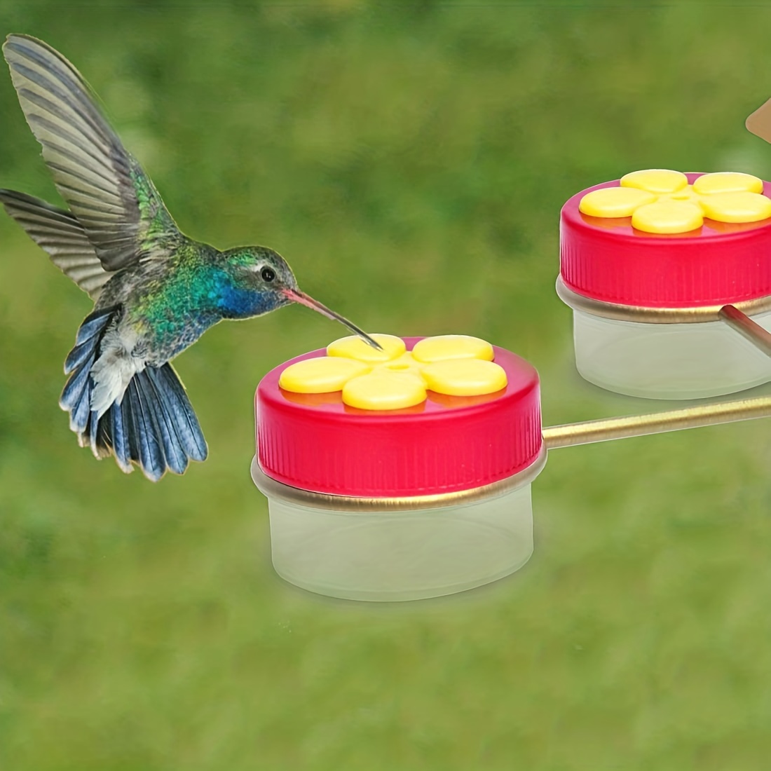 Mangeoires à colibris Fournitures étanches Mangeoire à oiseaux pour  terrasse