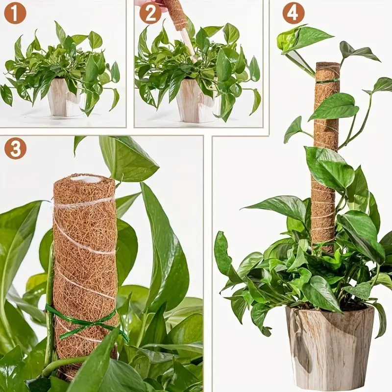 Moss Rod Monster Plant Support training Indoor Climbers To - Temu