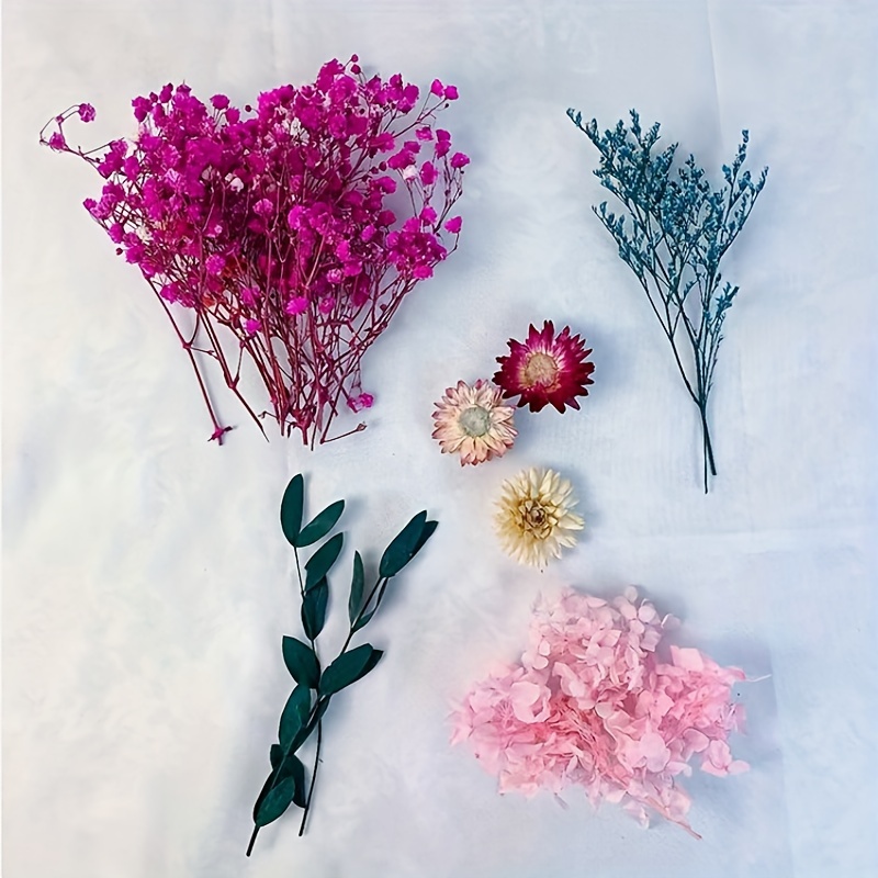 Multiple Pieces Mini Dried Flower Bouquets Natural Dried - Temu