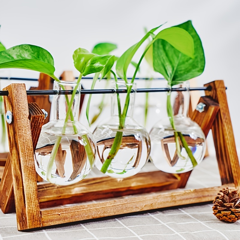 Pot Hydroponique en Plastique pour Plantes, Vase de Plantation d