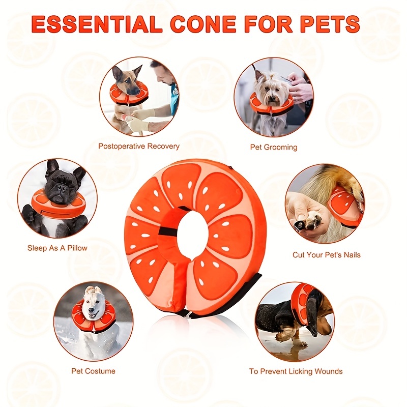 Soft cones best sale for small dogs