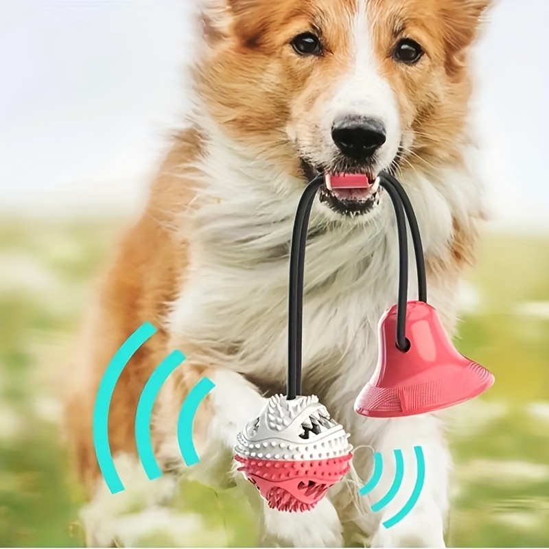 Suction Cup Dog Toy Chews - Bite Toys Durable Rubber Self Playing  Multifunctional Rope Food Dispensing with Suction Cup and Play IQ Toy Treat  Ball for