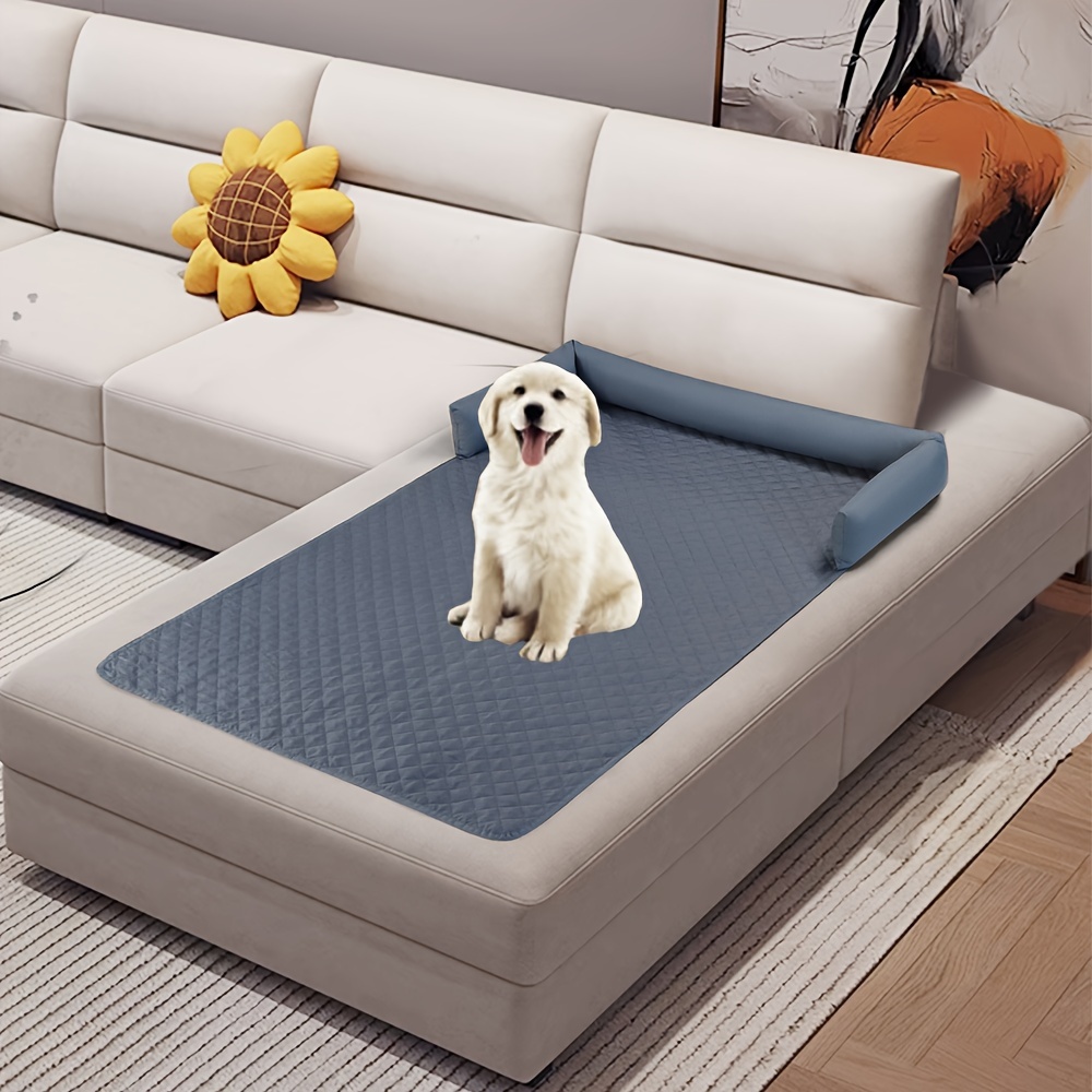 Couch pad 2025 for dogs