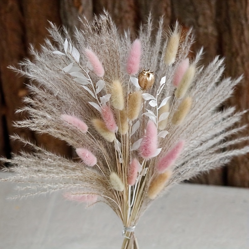 Dried Pampas Grass Decor Diy Boho Natural Dried Flower Decor - Temu