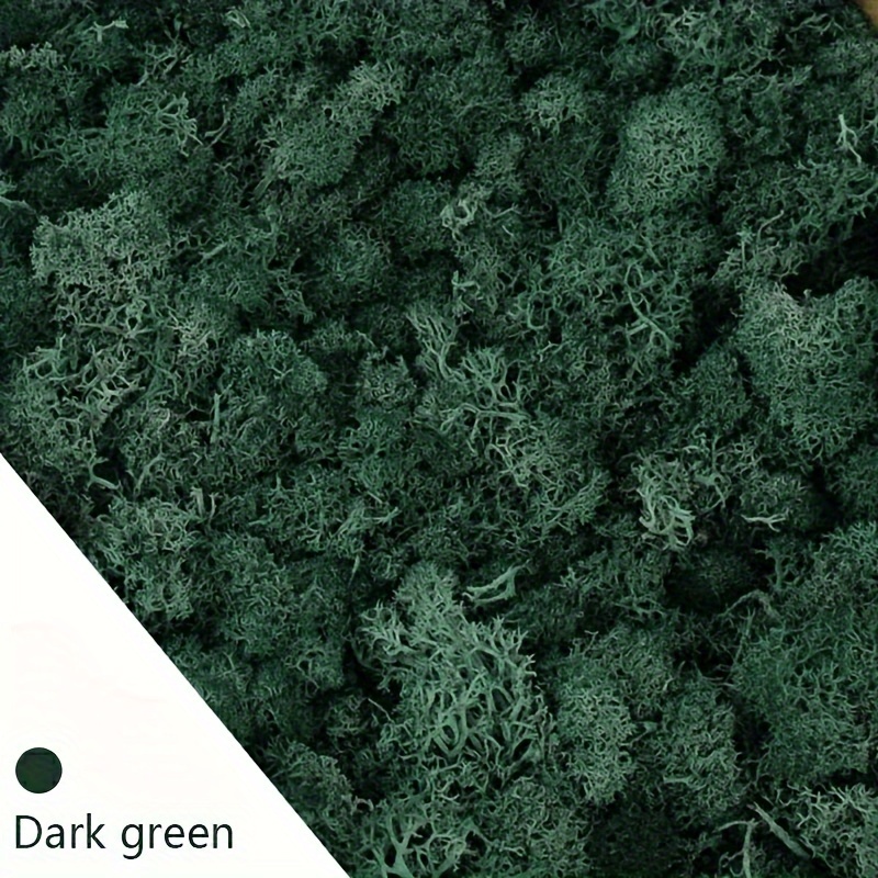 Moss Dark Green