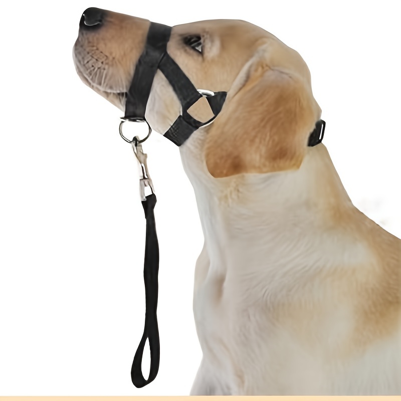 head halter for aggressive dogs