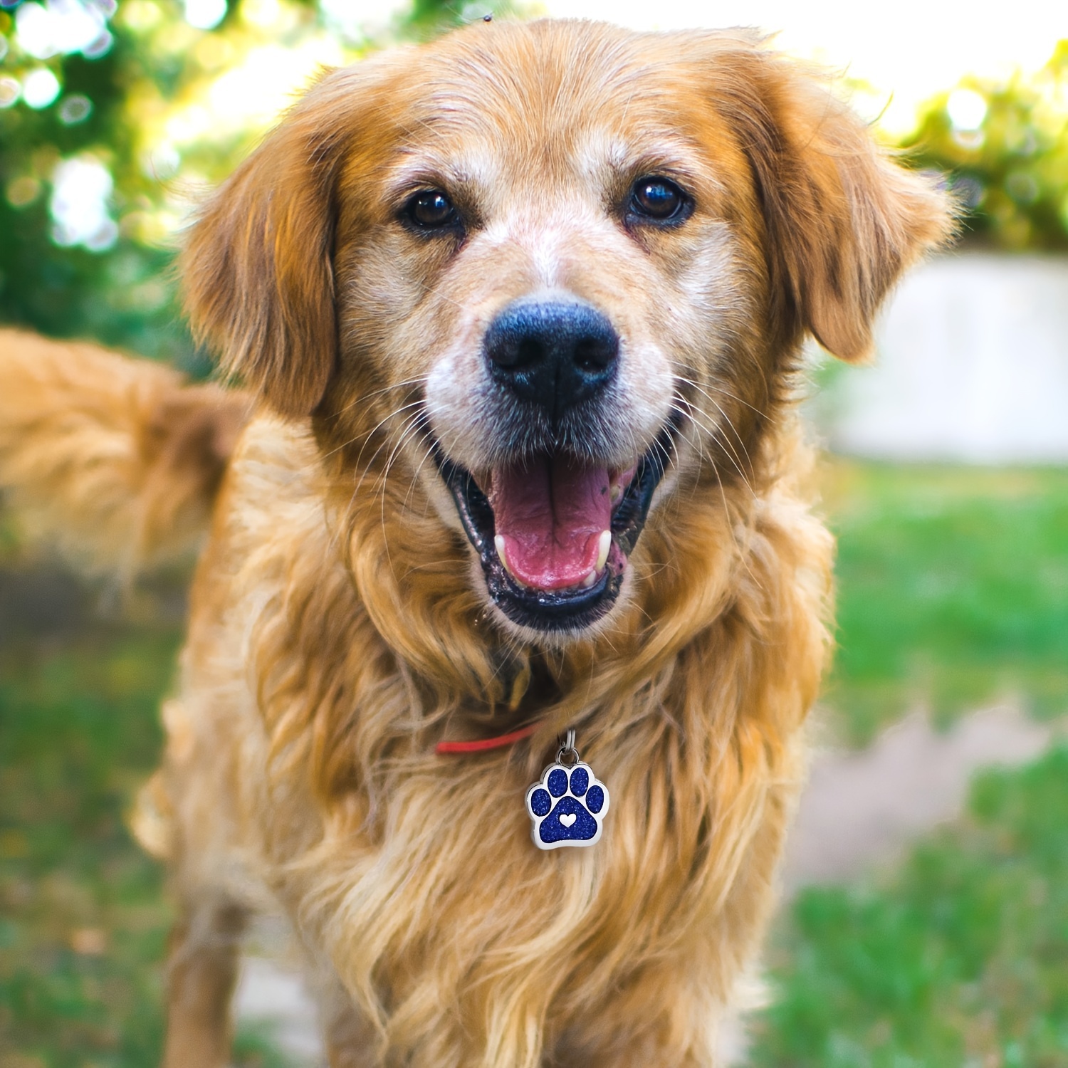 Personalized Engraved Pet ID Tag with Paw Print Charm