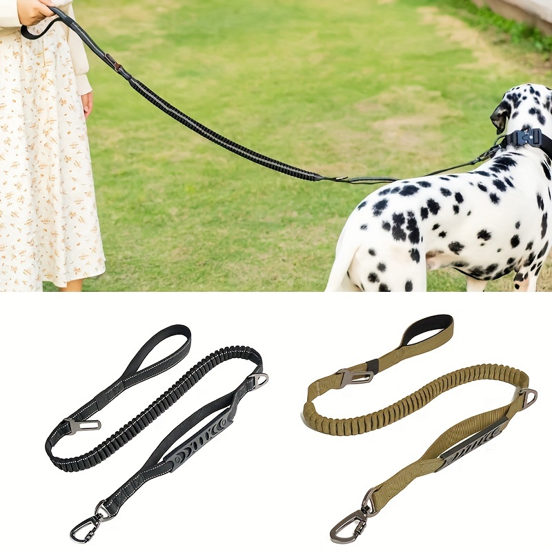 Safe retractable dog on sale leash