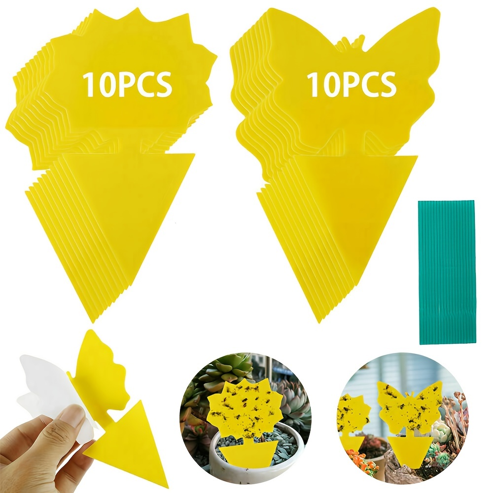 Lot de 25 pièges adhésifs jaunes | Piège à moucherons en papier jaune et  pièges adhésifs pour mouches des fruits, moucherons champignons et autres