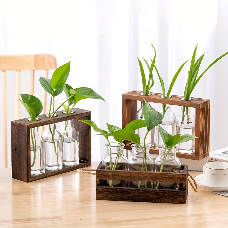 Stations de multiplication des plantes, Terrariums de plantes suspendus  muraux Plateau en verre Support en bois avec 3 Propag