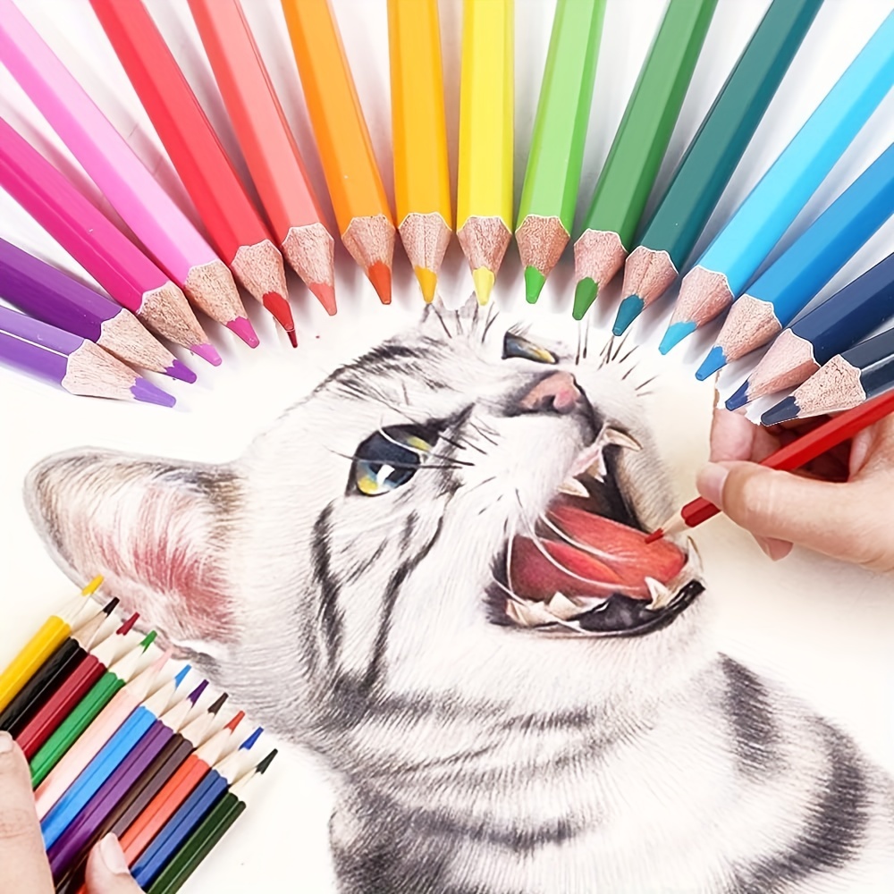 Juego de lápices de colores para niños y estudiantes, Set de 12/18/24  colores, para