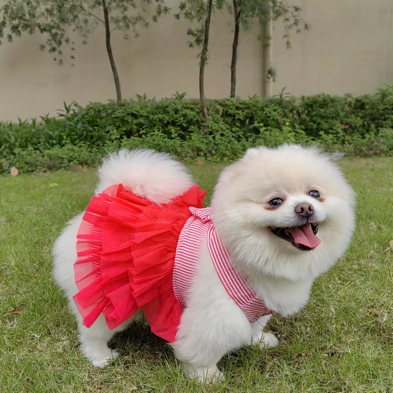 white christmas dresses Christmas Red Dog Tutu | Dog Skirt Outfit in Red main image 1