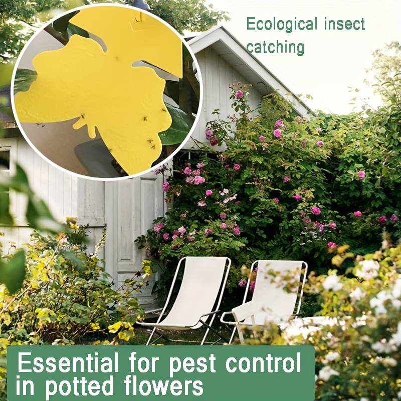 Double-sided Yellow Board Sticky Insect Board, Balcony Planting