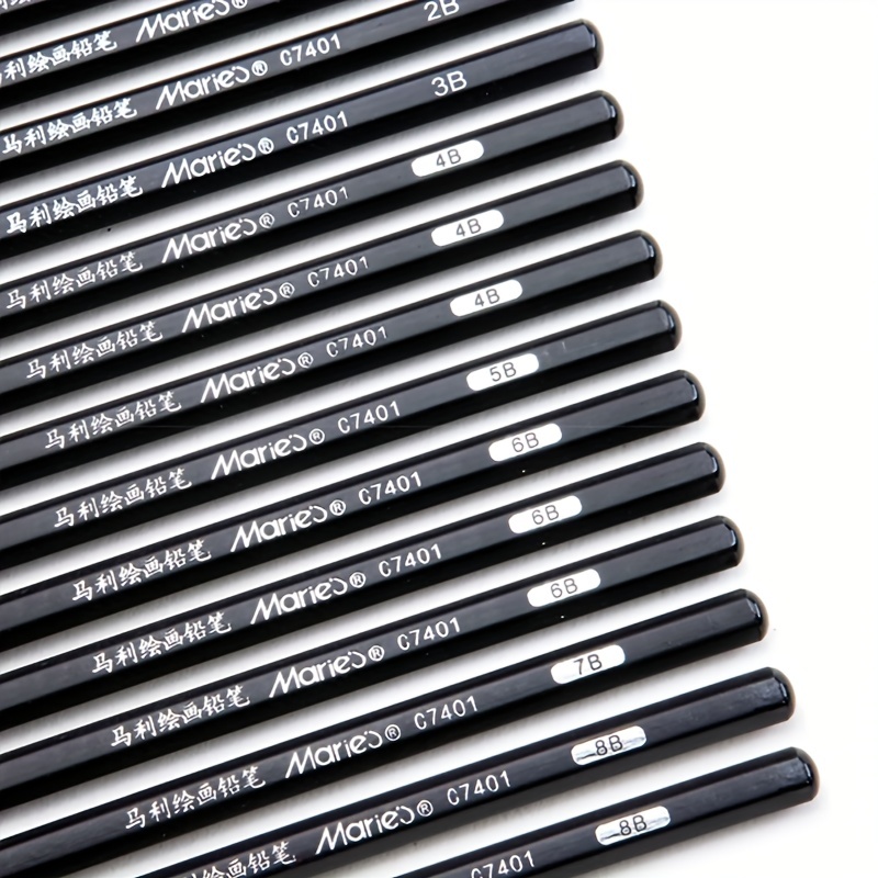 Professional Drawing Sketching Pencil Set 12Pcs Graphite Pencils for  Beginners Beginners Pro Artists Graphite Pencils Durable Not easy to break  Easy to erase Sketch pencil 2B 