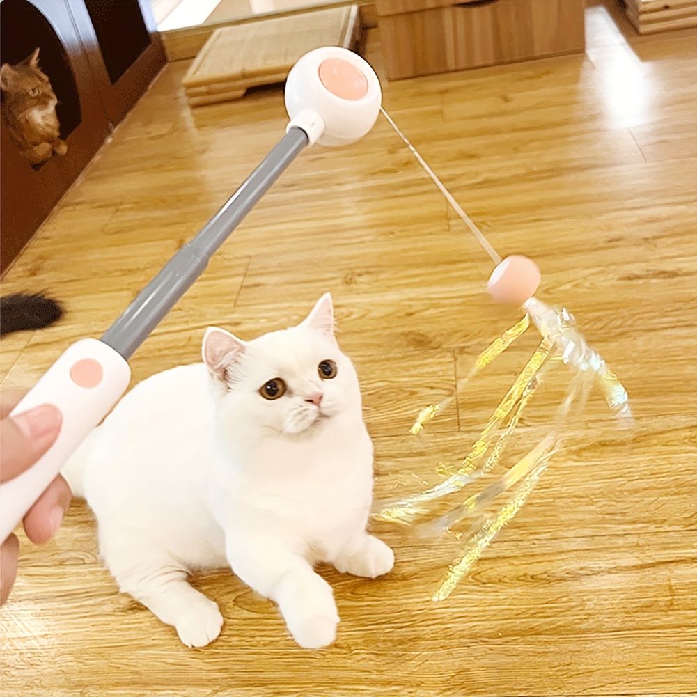 2 Pcs Retractable Cat Stick Toys Cat Teaser Wand Toy, Cat Toys for