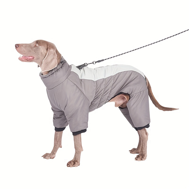 Dog body outlet warmer