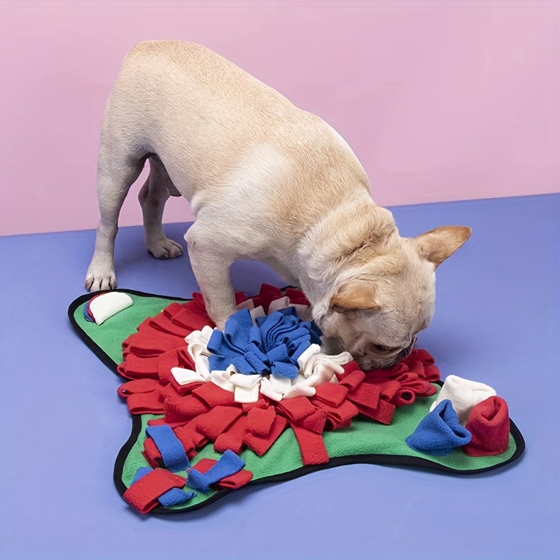 Dog best sale eating blanket