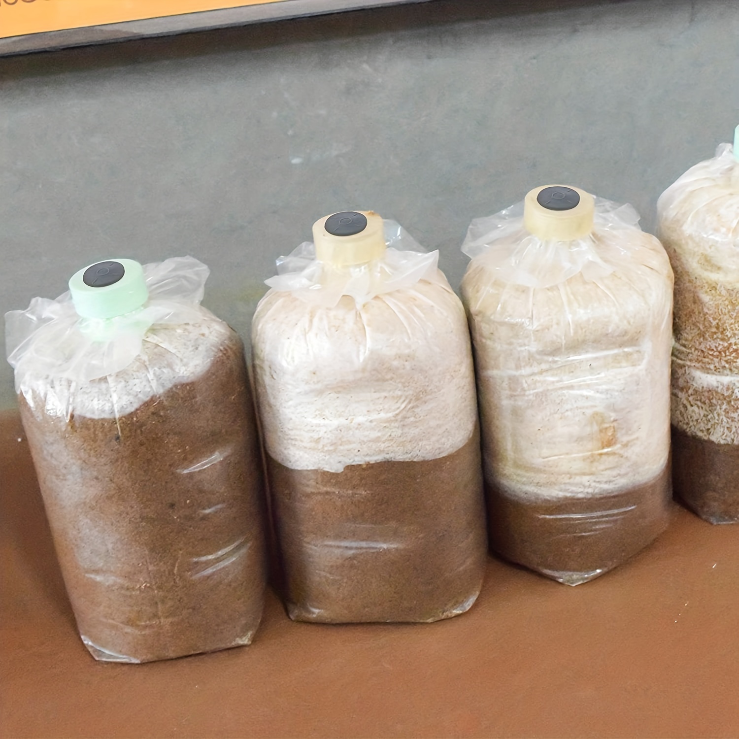 Mushroom Growing Kit: 64 Filter Paper Stickers & 100 Injection Needles