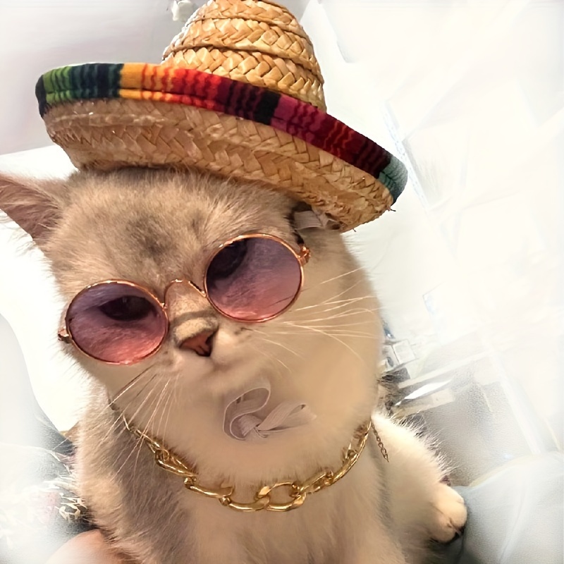 Gatos con lentes online y gorro