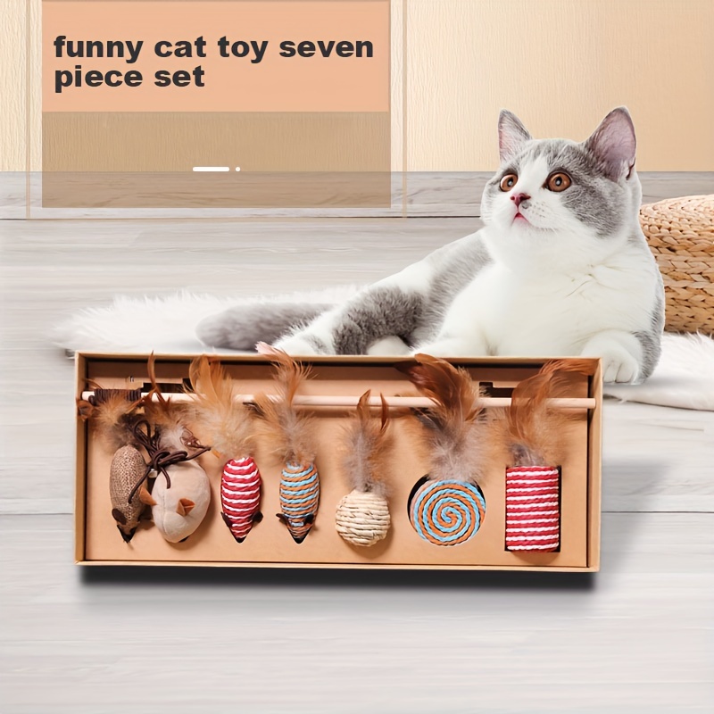 Cat toy 2024 gift box