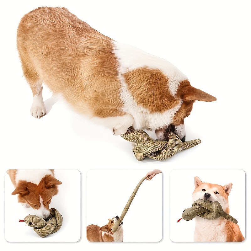 Pet Ramen Design Sound Toy Interactive Sniffing Toy For Dog - Temu