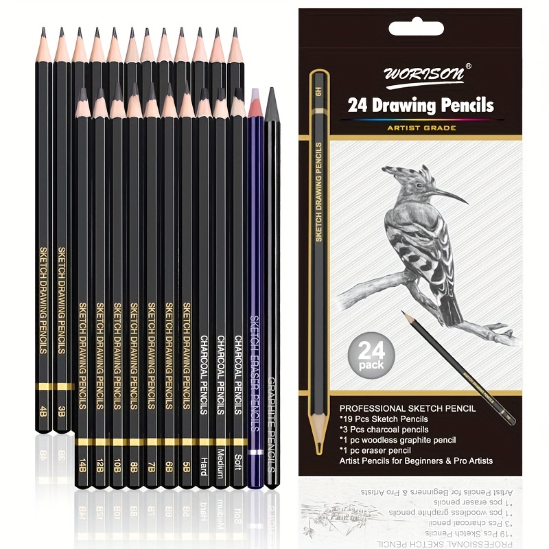 24 Sketch Pencils - Professional Art Sketching Pencils Travel Set Artists  Drawing Kit Graphite Charcoal Pencils for Painting, Sketching, Drawing