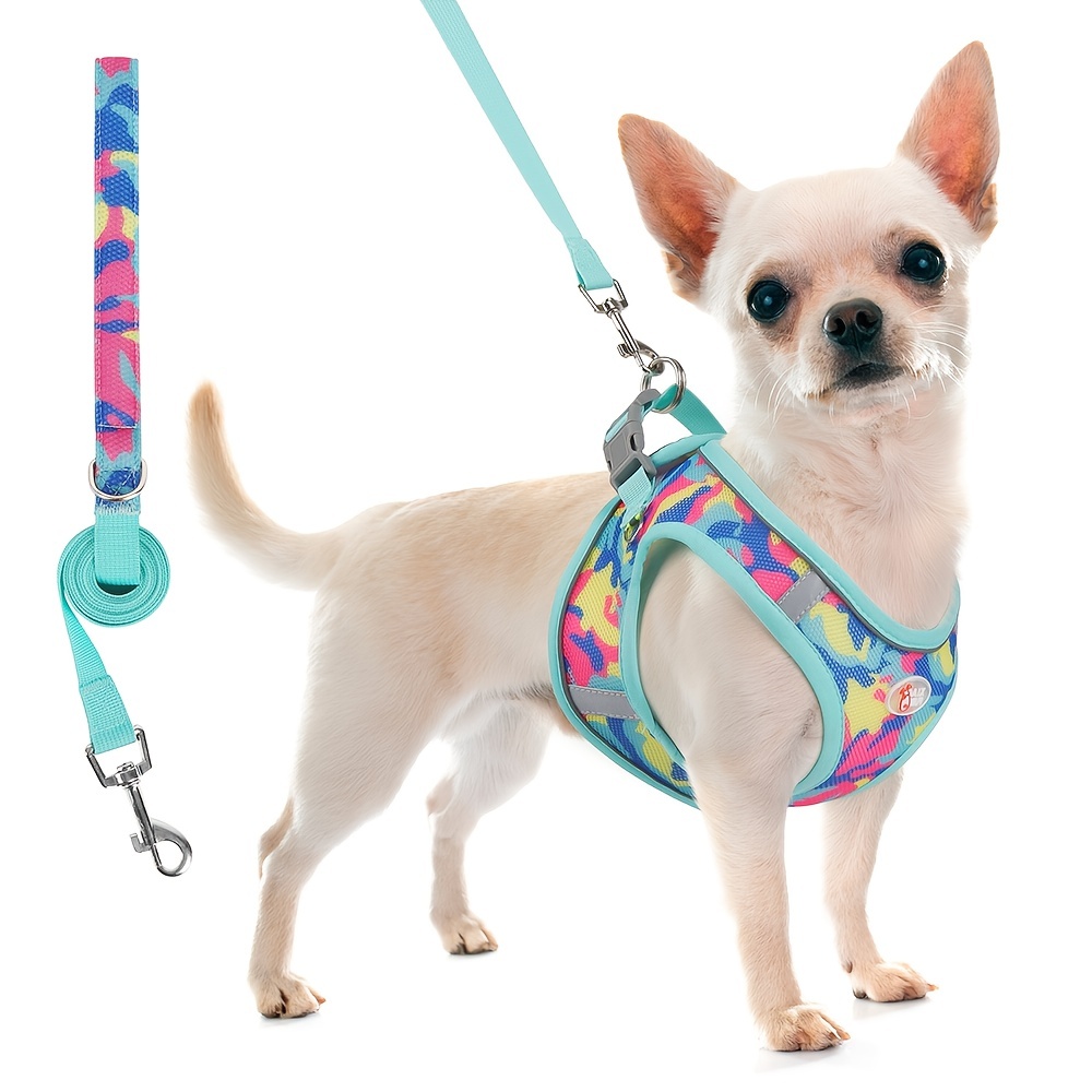  Luxury Dog Collar Leash Set Harness Designer Small and  Medium-Sized Dog Pet Collar Pug Chihuahua Adjustable Dog Collar Set Strong  Protection Safe pet Leash (Color : Leash, Size : XL) 