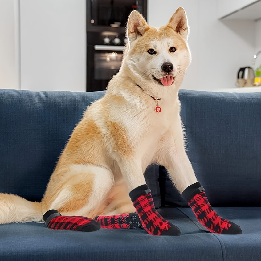 Calcetines antideslizantes para perros al mejor precio en Mimopets