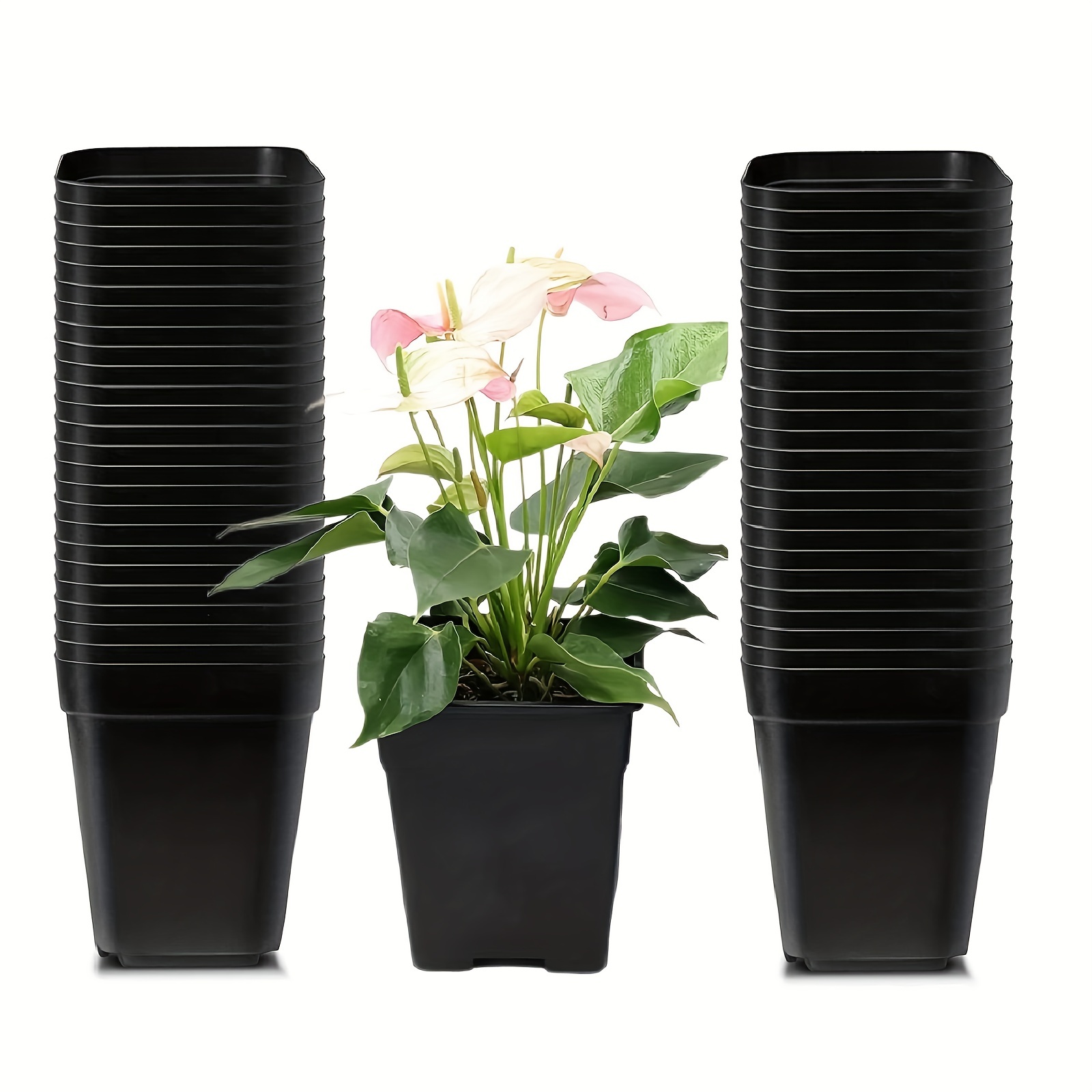 

50 Packs, 2.7" Square Plastic Nursery Pots 3" Deep Succulent Pots Small Flower Planter Seeds Starter Germination Pots With Drainage (7cm Black)