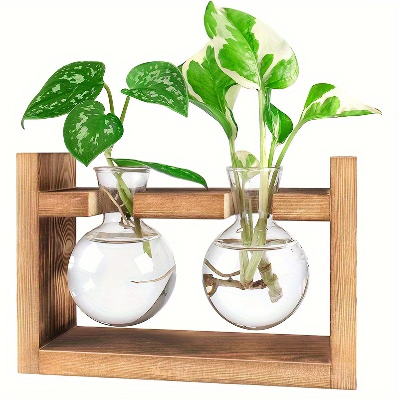 Terrarium de Plantes d'Air, Vase en Verre de Bureau en Verre avec Station  de Propagation de Support en Bois pour Plantes Hydroponiques Décoration de  Jardin de Bureau à Domicile 