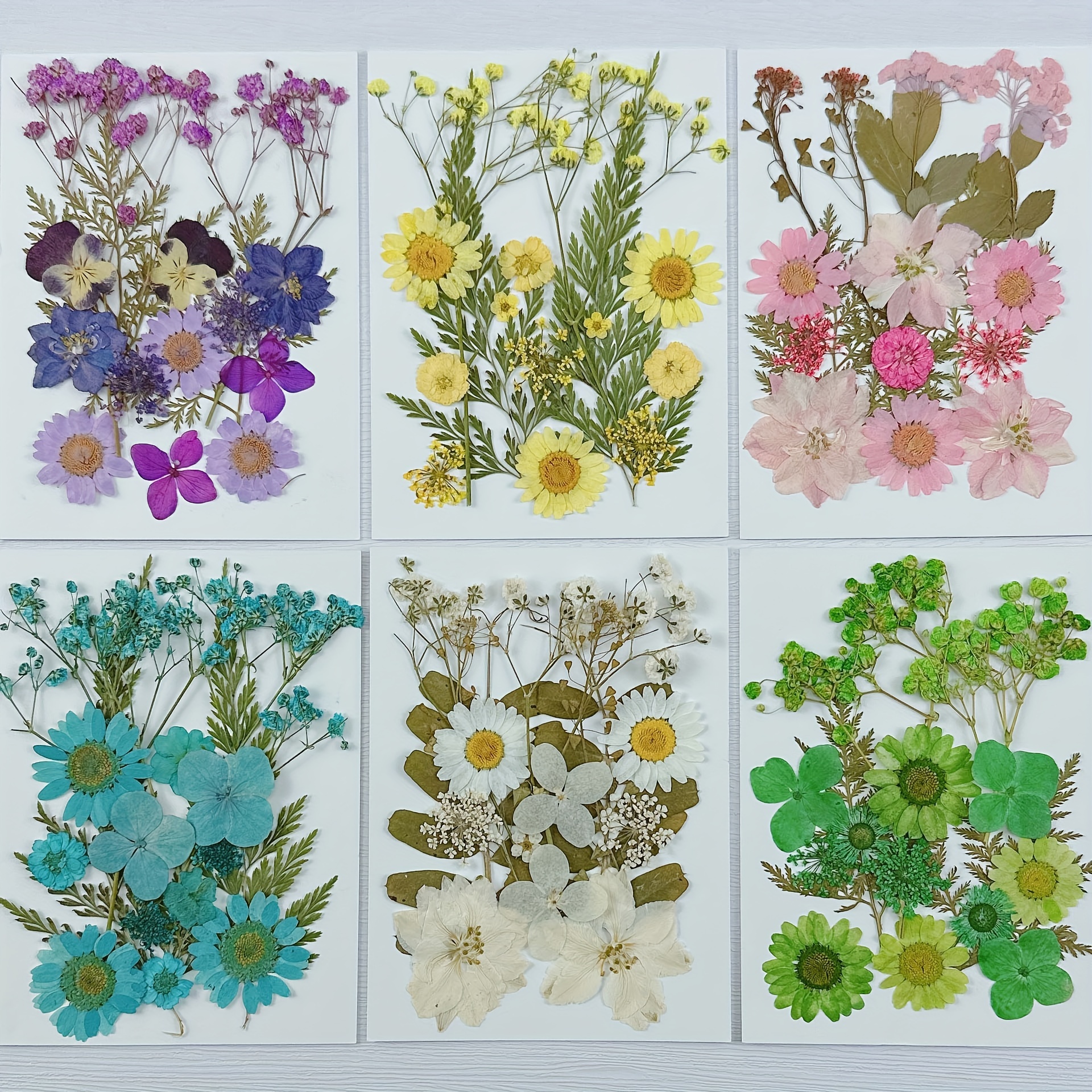 Real Dried Pressed Flowers Leaves Natural Plant Herbarium - Temu