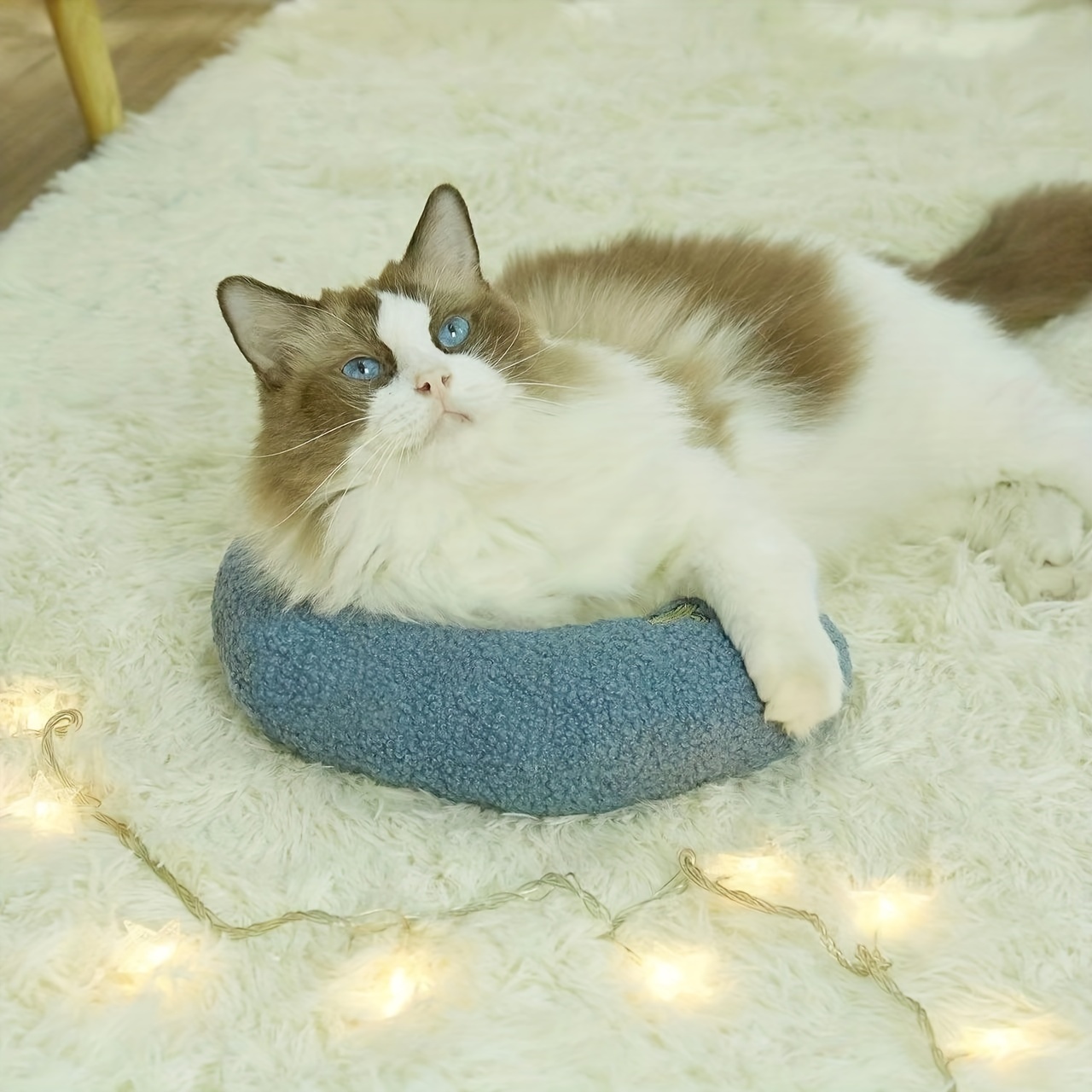 Cuscino Per Gatti Cuscino Per Cuccia Per Gatti In Peluche - Temu Italy