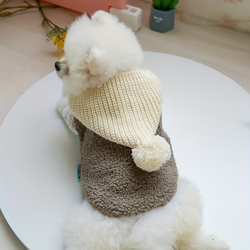 Pet Pompom Chapeau tricoté, chat moelleux casquette chaude Kitty Woolen  Head Wear avec longue tresse, chiot Accessoires de costume pour animaux de  compagnie