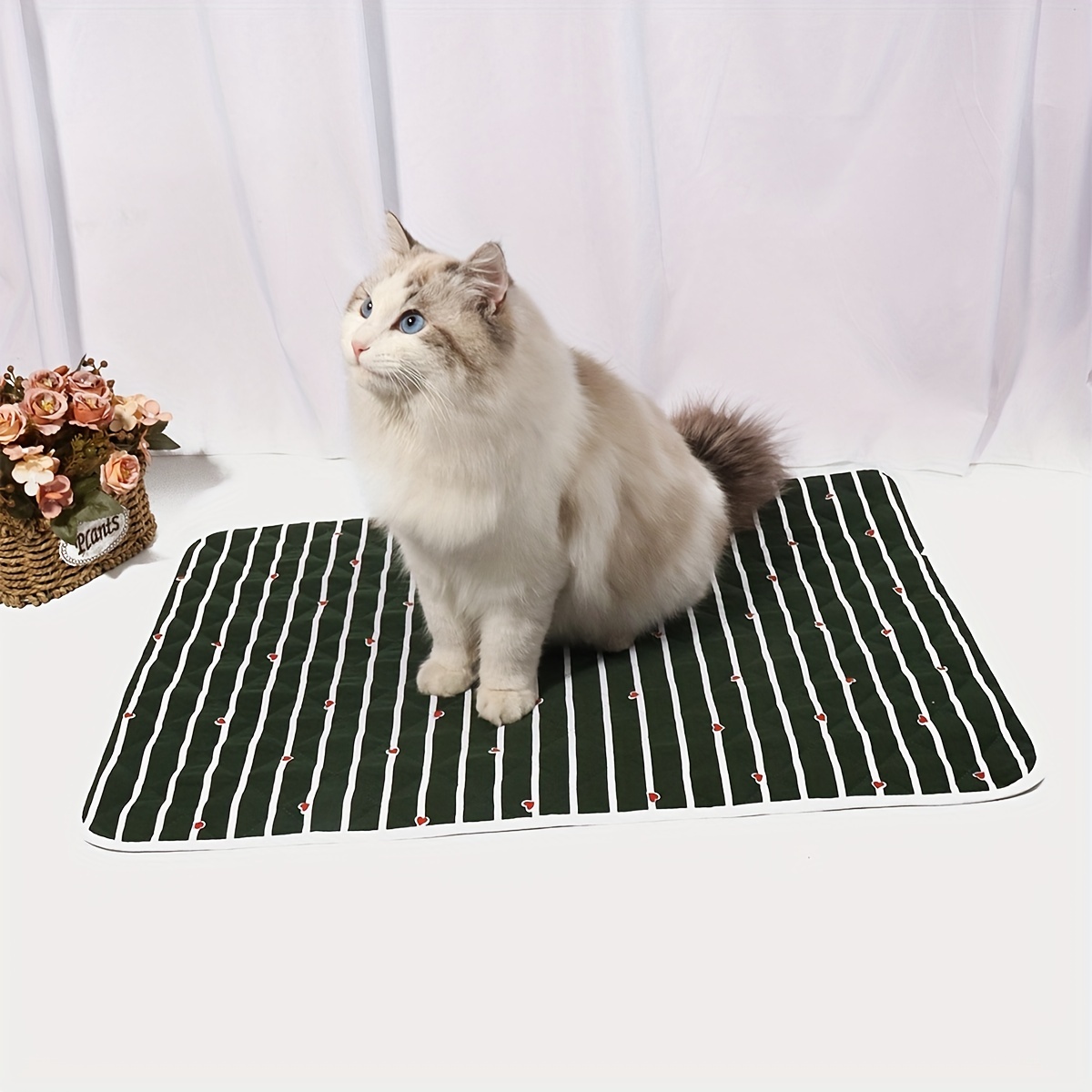 Cat Mat For Sleeping Pet Floor Mats For All Seasons Dog - Temu