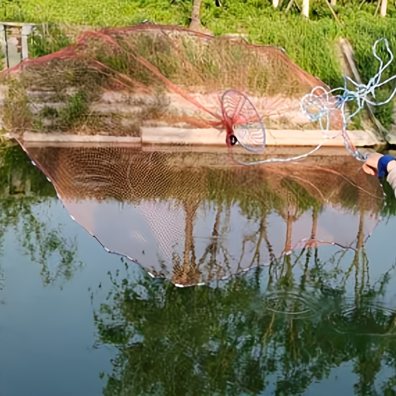 Amazing Catch Lot of Big Fish by Cast Net in Pond