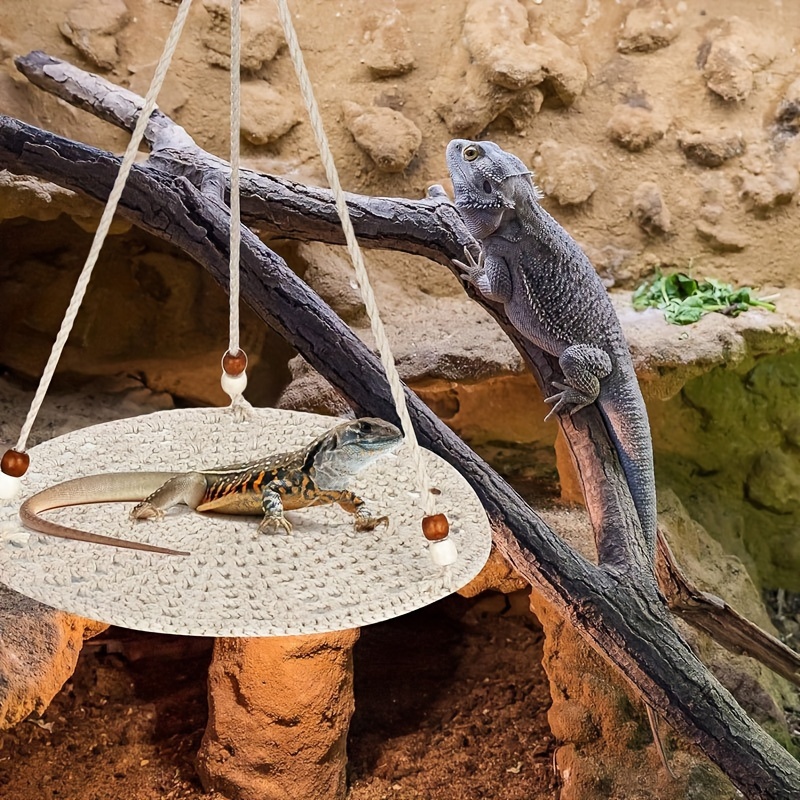 Reptile Hammock, Bearded Dragon Hammock Swing, 9.8 Inch Summer Reptile  Hanging Bed Swing, Gecko Tank Accessories For Lizard Gecko Hamster  Chameleon Sq