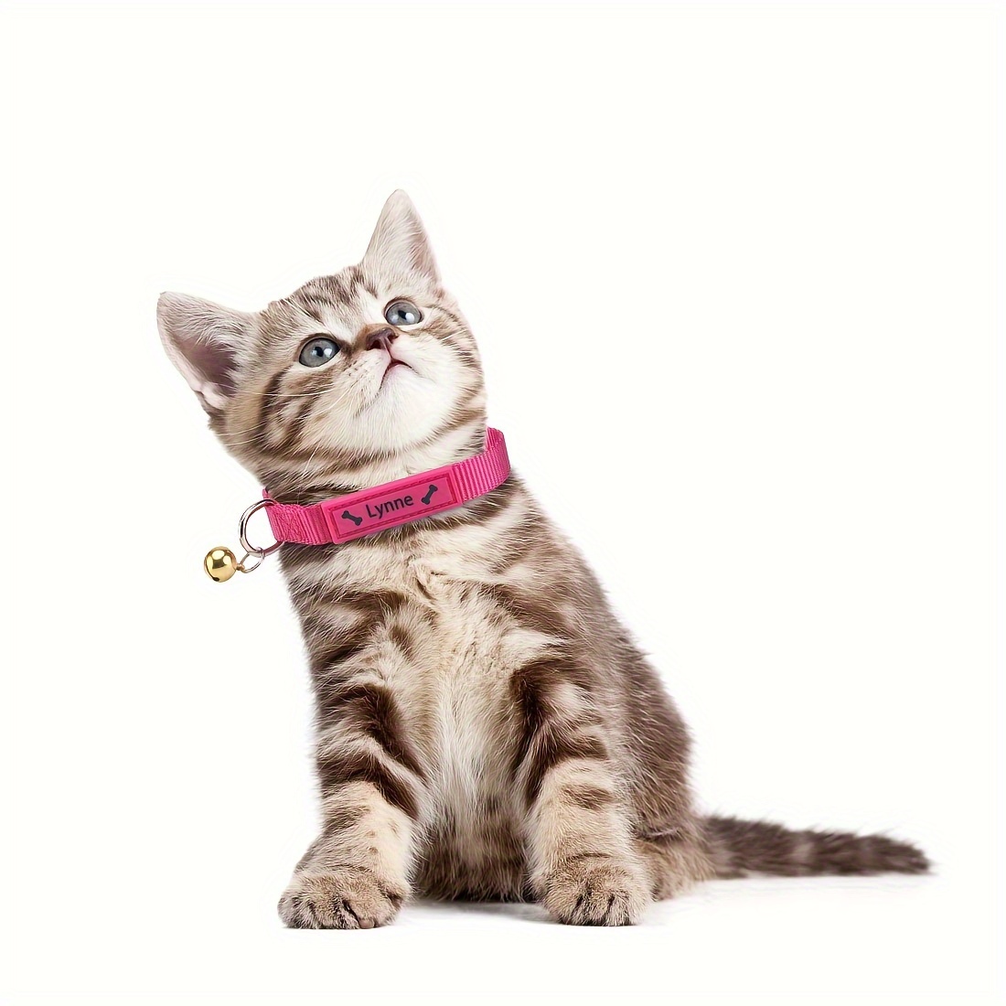 Custom cat best sale collar with bell